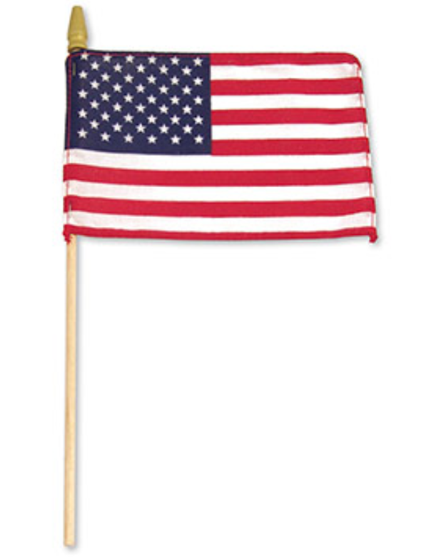 USA Flag 4" x 6"